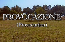 Provocation (1995)